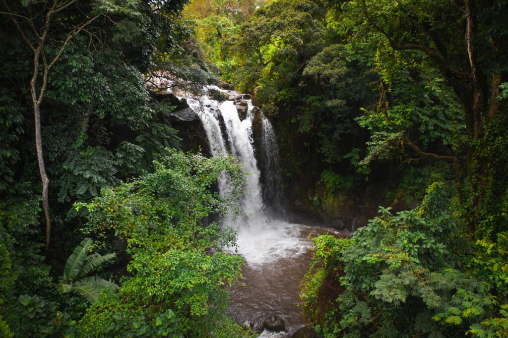 Marangu waterfall 1-day 