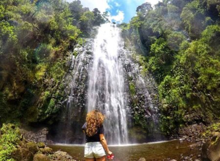 1-day trip to Materuni Waterfall