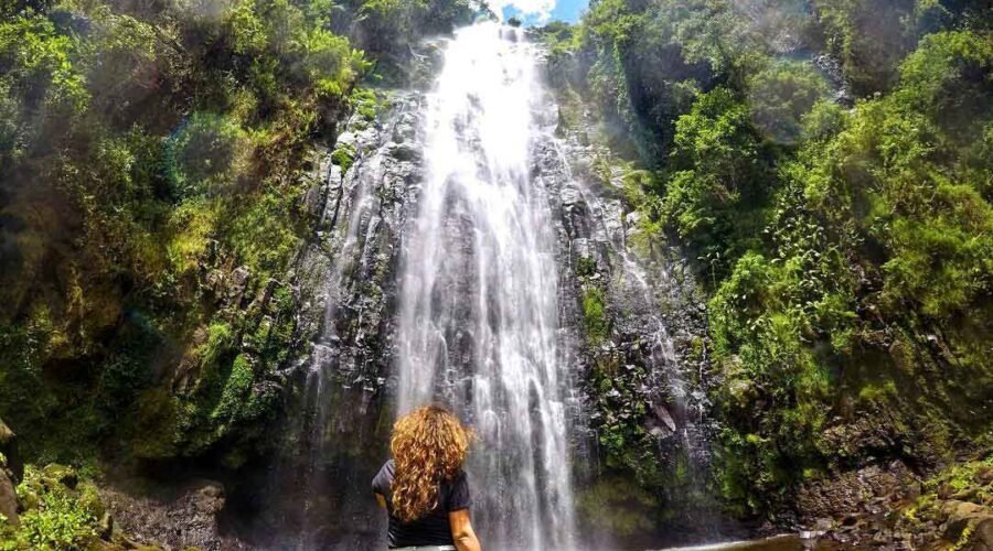 1-day trip to Materuni Waterfall