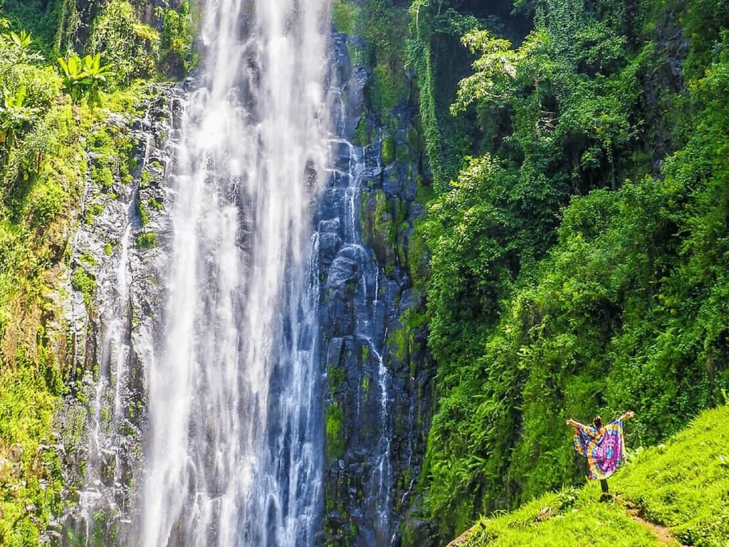 Marangu Waterfalls 1-Day Trip Short Tour