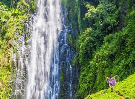 Marangu Waterfalls 1-Day Trip Short Tour