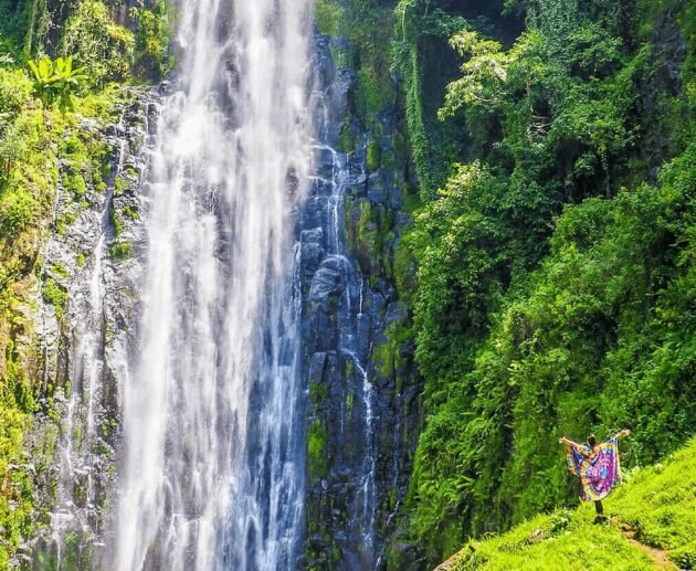 Marangu Waterfalls 1-Day Trip Short Tour