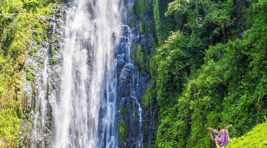 Marangu Waterfalls 1-Day Trip Short Tour
