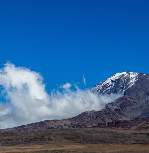 Lemosho route Kilimanjaro Climbing