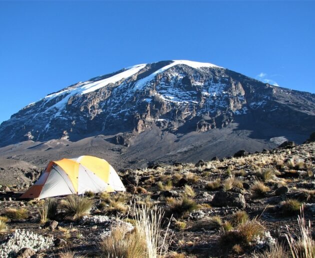 Lemosho Route 9-days Kilimanjaro climb 2026/2027