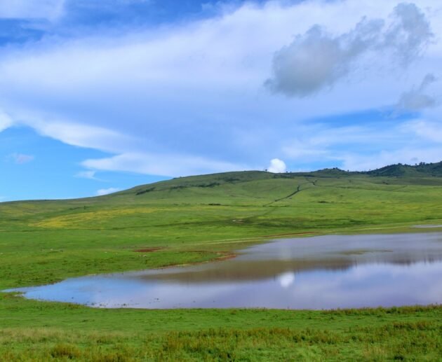 4-Day Tanzania Safari 2026-2027 Exclusion