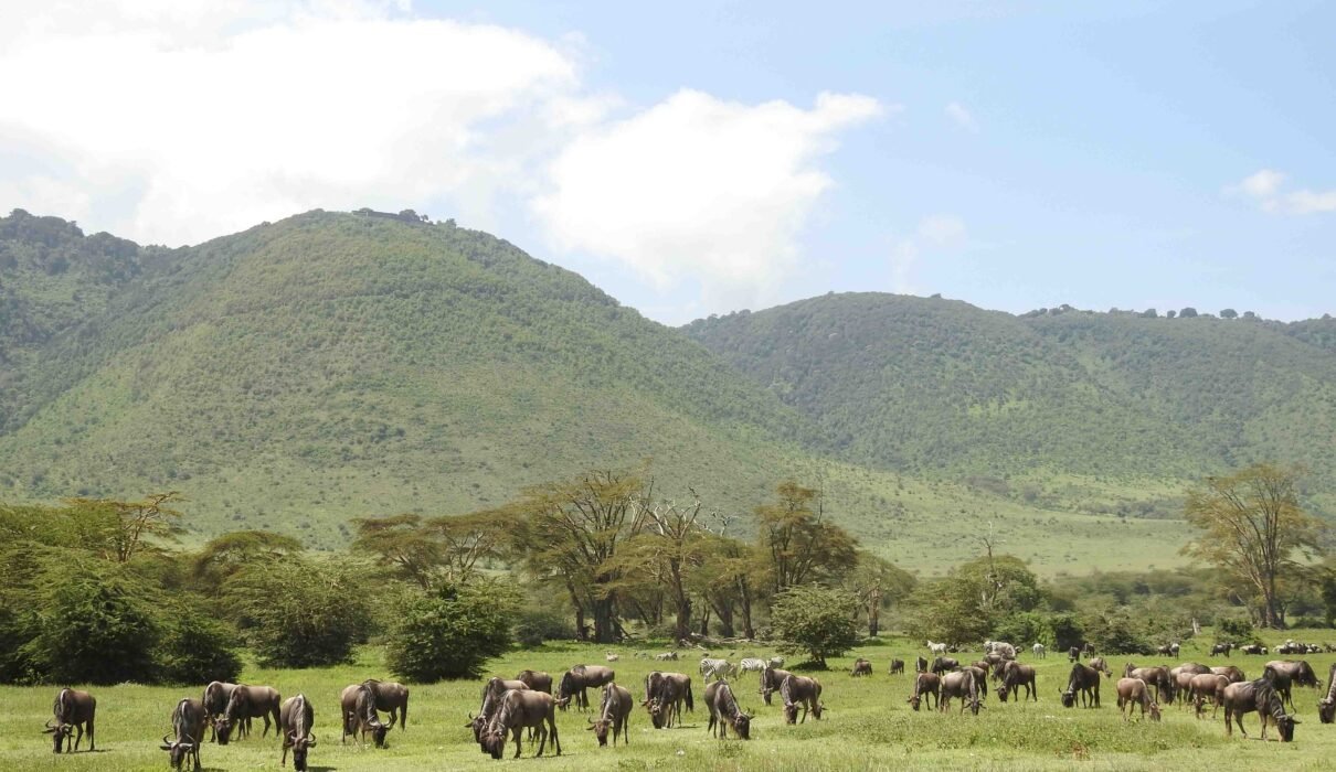 The best 2 days trip to Tarangire and Ngorongoro