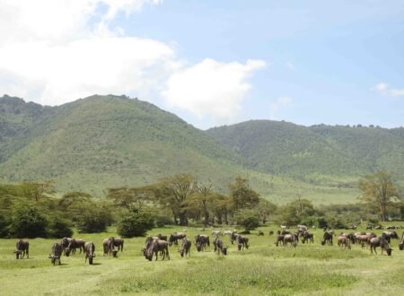 The best 2 days trip to Tarangire and Ngorongoro