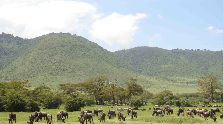 The best 2 days trip to Tarangire and Ngorongoro