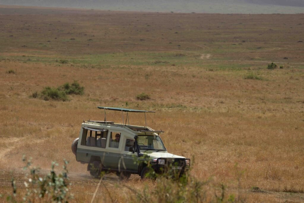 2 days Tanzania safari