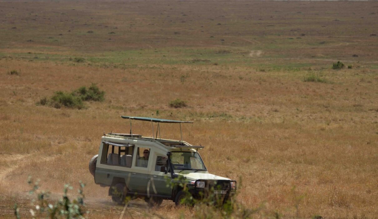 2-days Tanzania safari Arusha to Tarangire