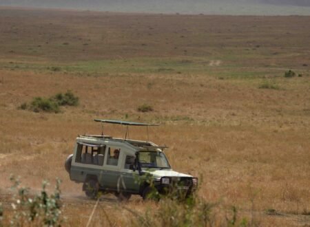 2-days Tanzania safari Arusha to Tarangire