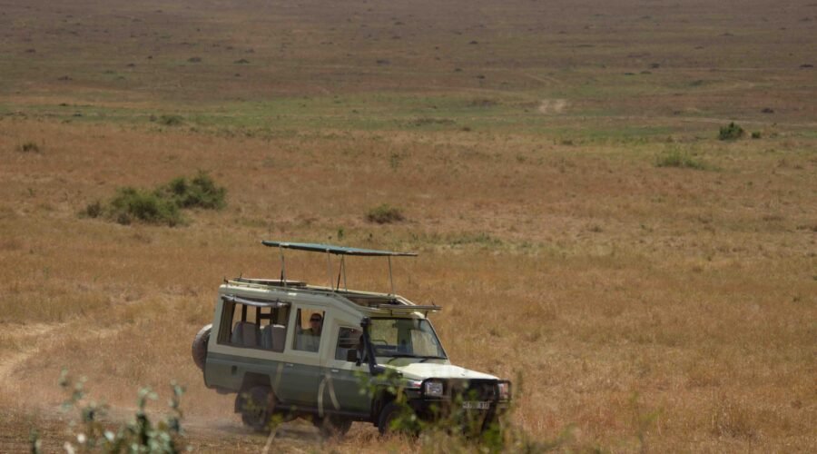 2-days Tanzania safari Arusha to Tarangire