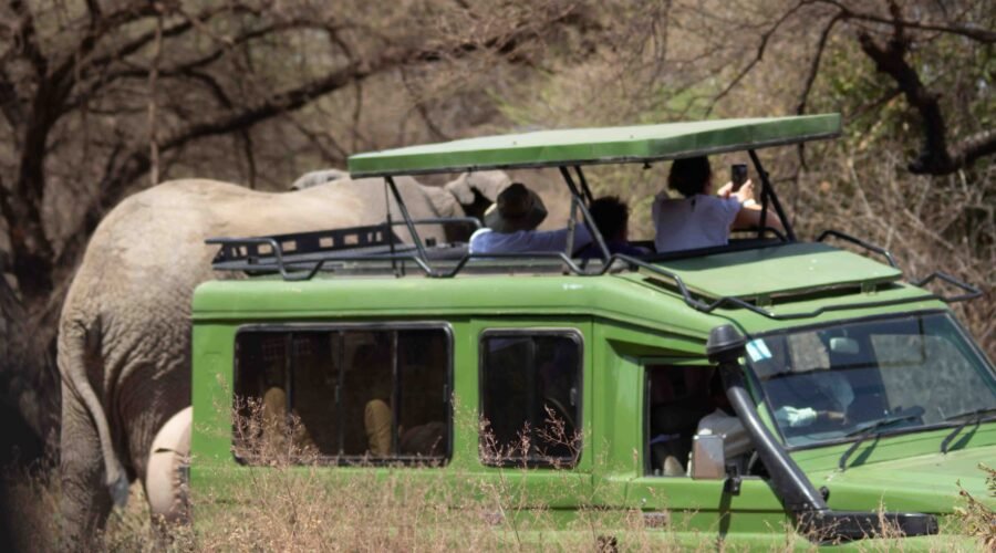 The best 4 days Serengeti and Ngorongoro in 2026 & 2027