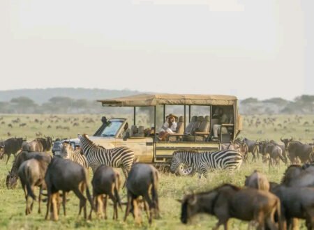 5 days serengeti wildebeest migration safari