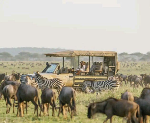 5 days serengeti wildebeest migration safari