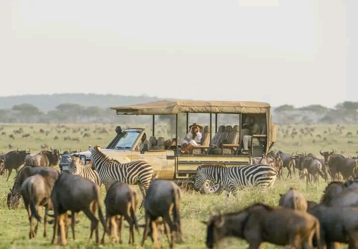 5 days serengeti wildebeest migration safari