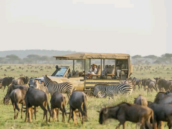 5 days serengeti wildebeest migration safari