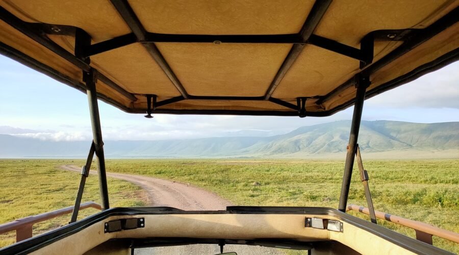 3 days Tanzania safari