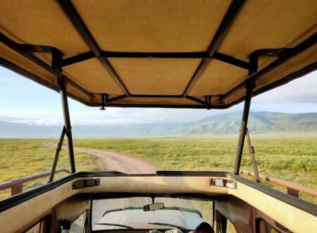 7-day Greatest Serengeti Balloon Safari