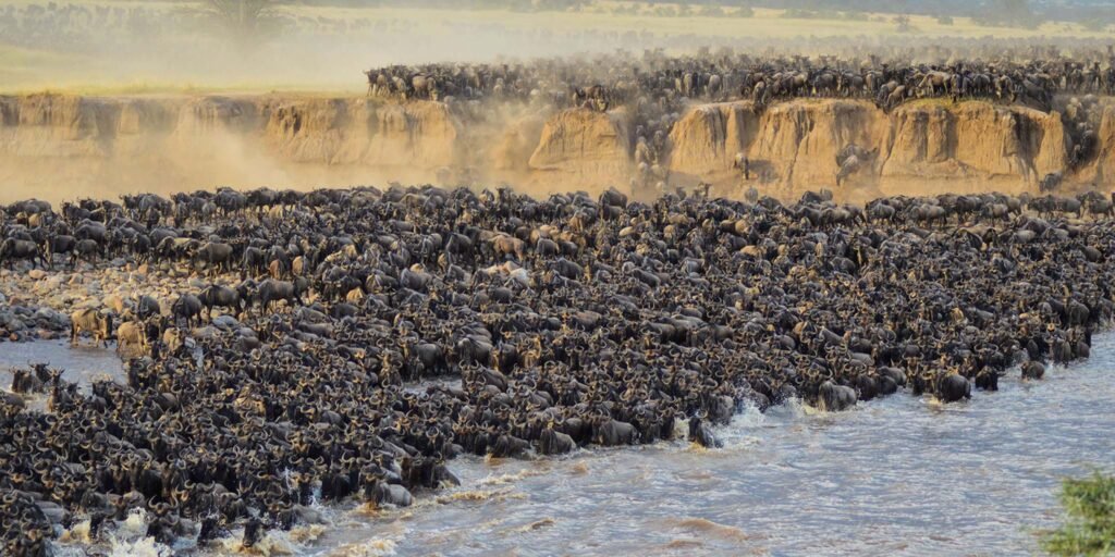 8-day Greatest Serengeti Migration Safari