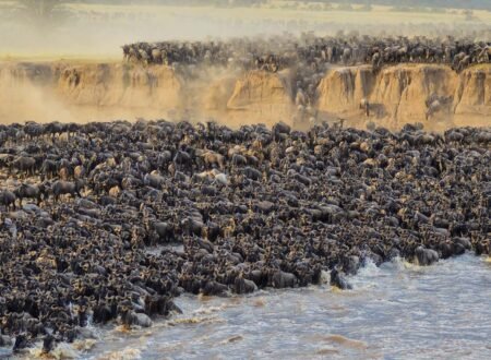 8-day Greatest Serengeti Migration Safari