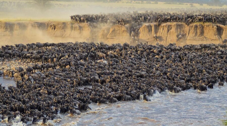 8-day Greatest Serengeti Migration Safari