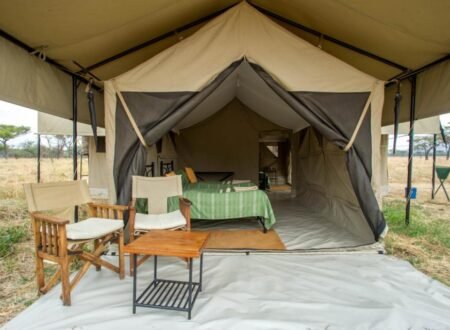 8-Day Tanzania Budget Camping Safari
