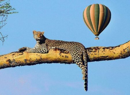 3 days Serengeti Balloon Safari