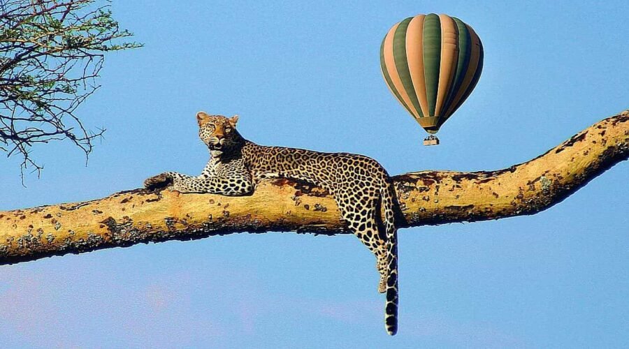 3 days Serengeti Balloon Safari