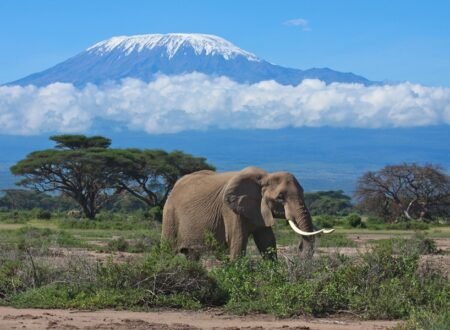 best time to climb Mount Kilimanjaro