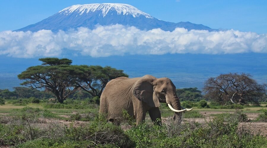 best time to climb Mount Kilimanjaro