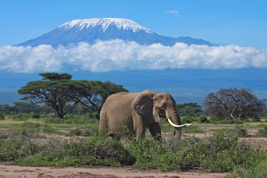 best time to climb Mount Kilimanjaro