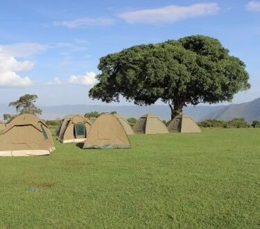 3-Day Tanzania Budget Camping Safari