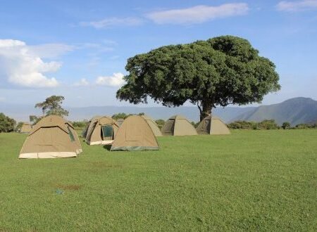 3-Day Tanzania Budget Camping Safari
