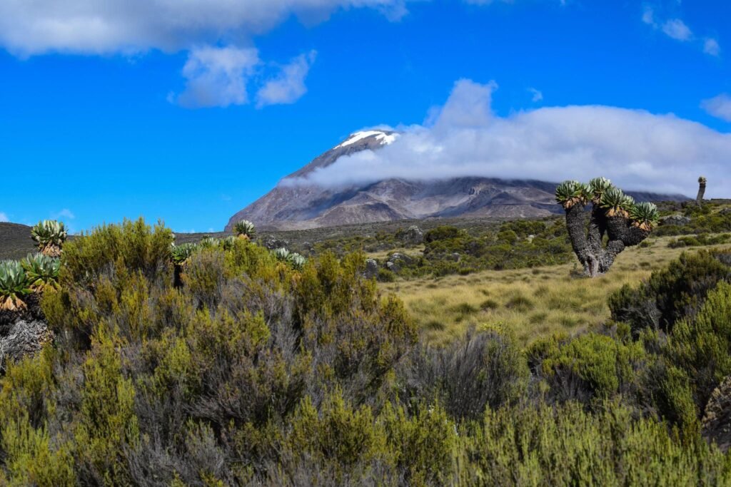 The Dazzling Kilimanjaro bike tour day trip in Moshi 2026