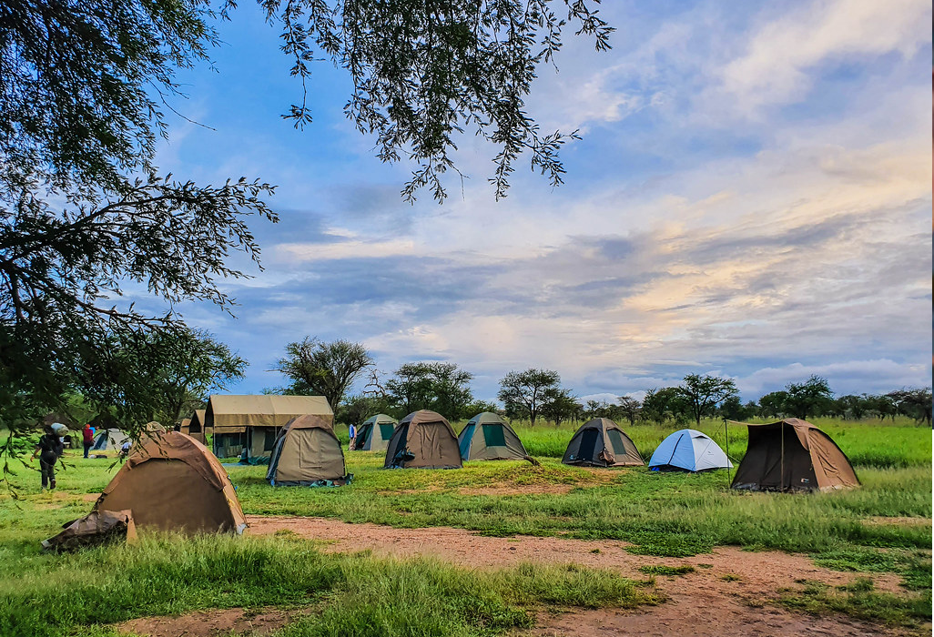 7-Day Tanzania Budget Camping Safari