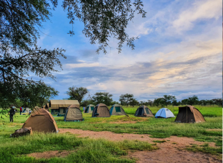 7-Day Tanzania Budget Camping Safari