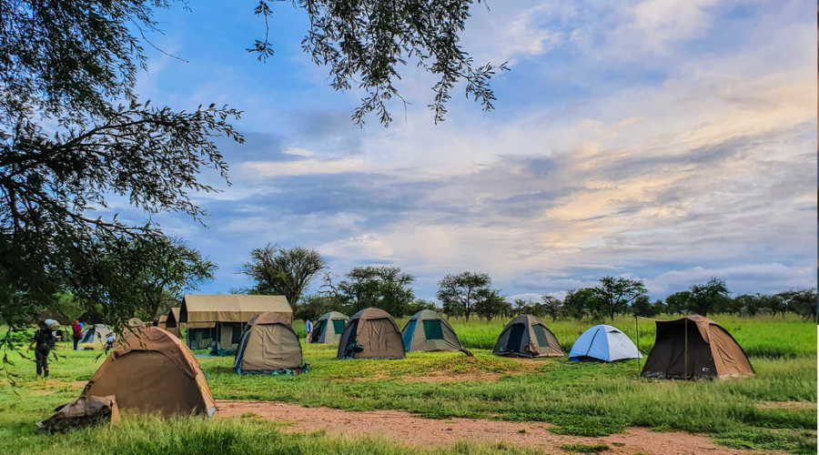 7-Day Tanzania Budget Camping Safari