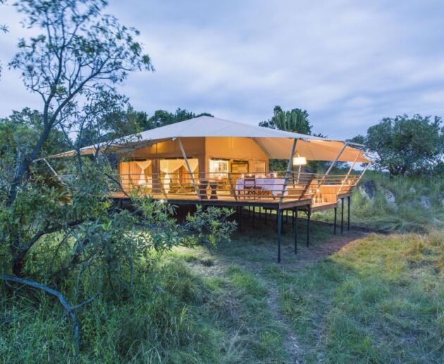 8 days Tanzania luxury lodge Safari