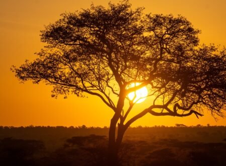 5-day Serengeti Balloon Safari