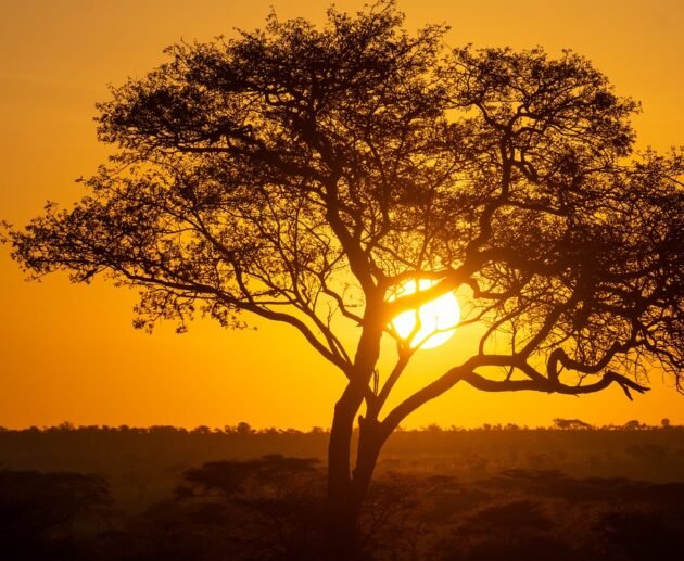 5-day Serengeti Balloon Safari