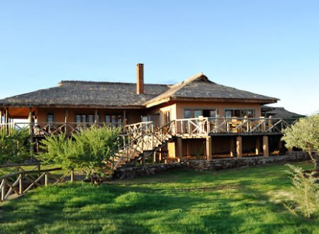 7 days Tanzania luxury lodge Safari