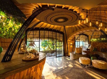 Where to Stay Your Tanzania Safari: Ultimate Top Lodges and Camps 2025/2026