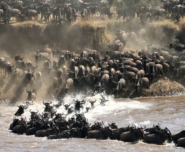 8-day Greatest Serengeti Migration Safari