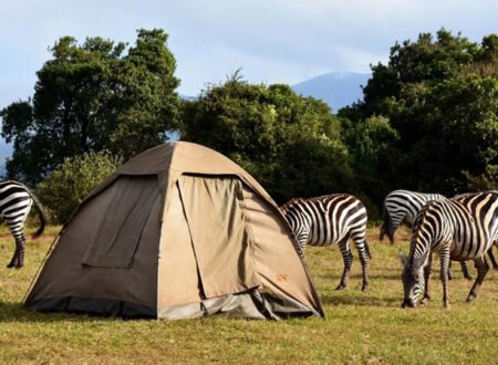 6 days Serengeti and Ngorongoro crater