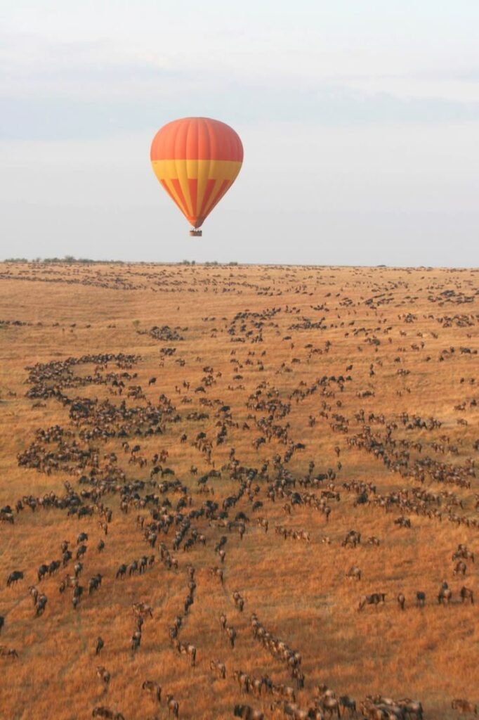 The best Greatest 5-days Serengeti Balloon Safari -Tanzania trip