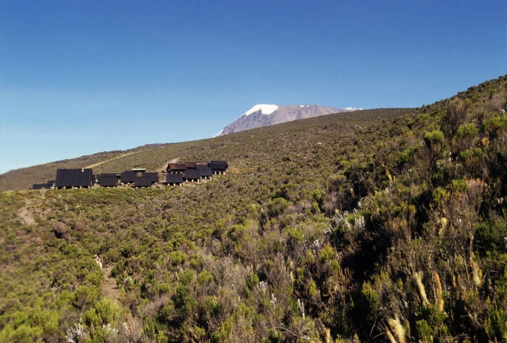 7-8 Days Lemosho Route Kilimanjaro Hiking Group