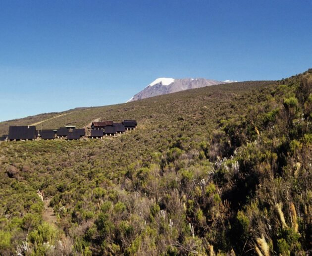 7-8 Days Lemosho Route Kilimanjaro Hiking Group