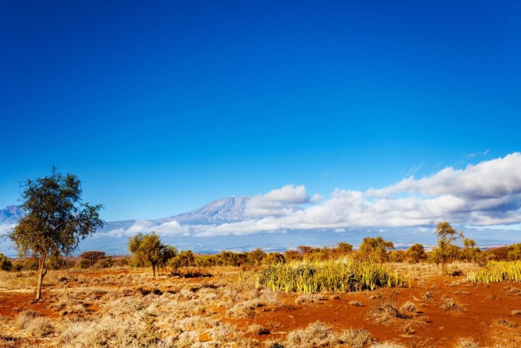 7-8 Days Lemosho Route Kilimanjaro Hiking Group